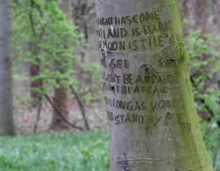 Ben E. King's love song classic carved into a Tiergarten park tree