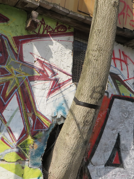 Tree growing out of the 'Treehouse' on the Wall, Berlin, Kreuzberg
