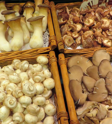 Different types of mushrooms on sale in the 6th floor KaDeWe food emporium