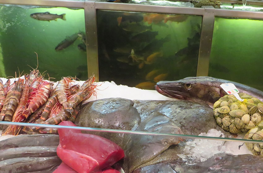 Live fish and seafood selection in the Rogacki restaurant and delicatessen