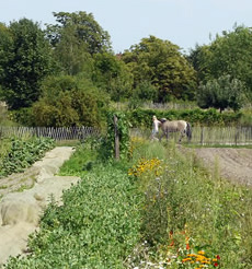The tranquil Dahlem Domaene working countryside farm
